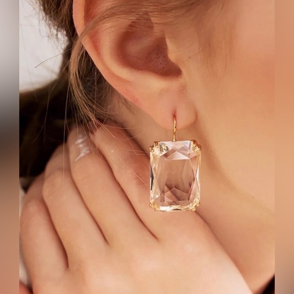 New For Love and Lemons Flirty Pink Drop Earrings - Picture 8 of 10